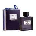 Chanel Bleu de chanel aromato arabiška versija vyrams, 100ml, EDP