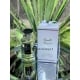 Nasamat Oud Bouquet (vanille bouquet) aromato arabiška versija moterims ir vyrams, 100ml, EDP. Fragrance World - 5