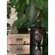 Yves Saint Laurent Black Opium aromato arabiška versija moterims, 25ml, EDP Fragrance World - 7