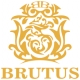 Brutus Bronzino nišiniai, išskirtiniai kvepalai vyrams, EDP, 100ml - 5